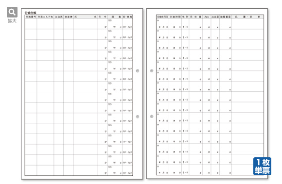 分娩台帳（両面印刷）
