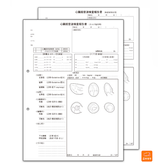 心臓超音波検査報告書